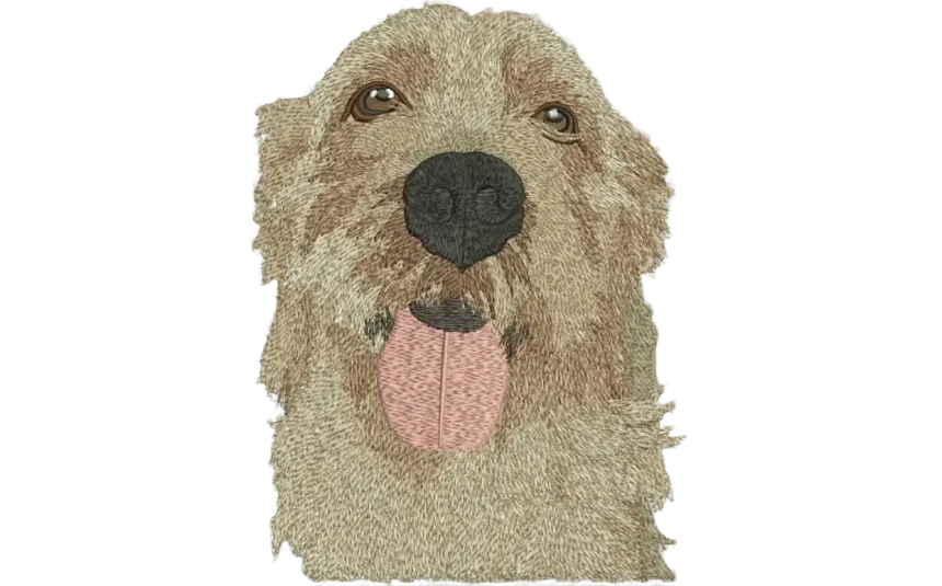 Cute Pet Dog Tongue Out